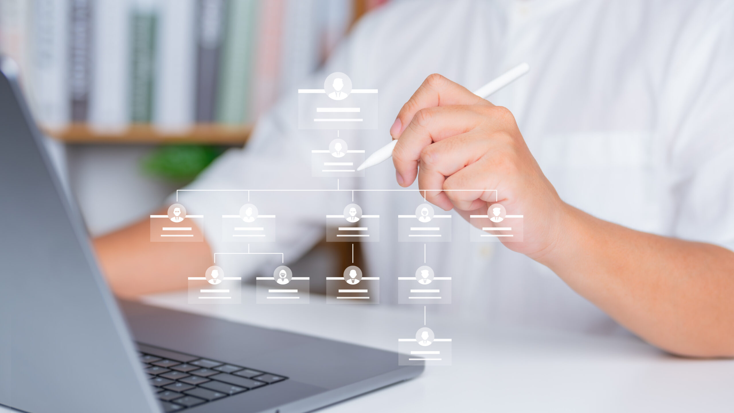 Professional development roadmap with multiple career trajectory options